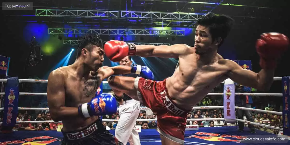 🏀激情赛场，见证冠军诞生时刻！